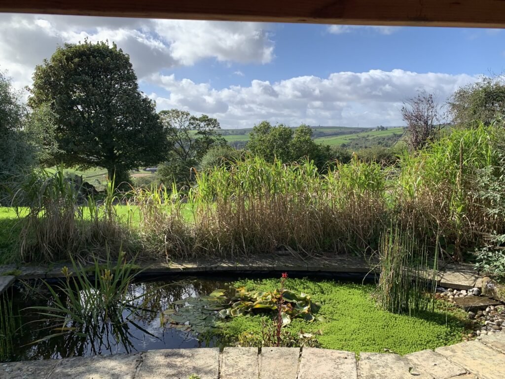 View from the summerhouse across the pond to the countryside